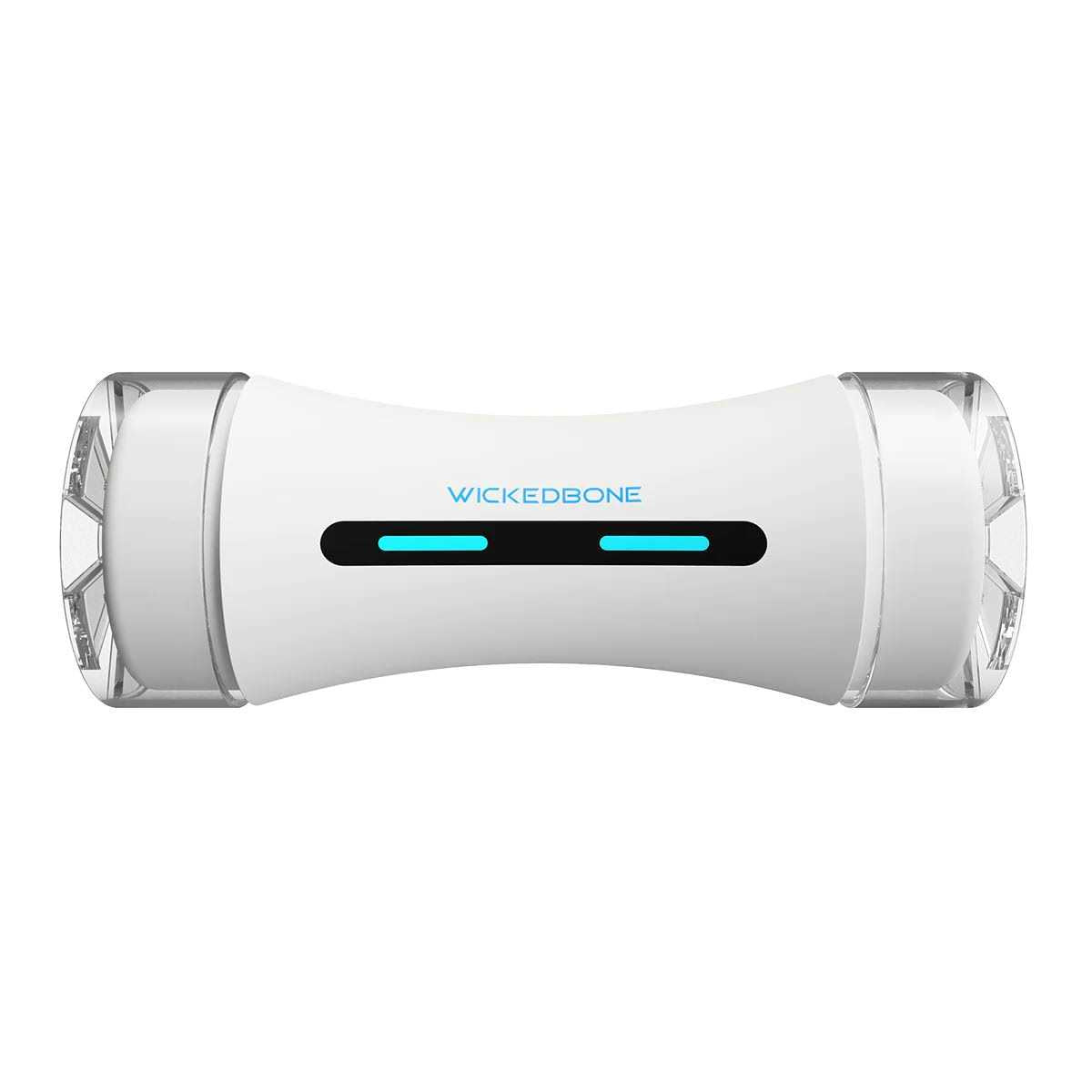 Automatic Interactive Dog Toys O6193