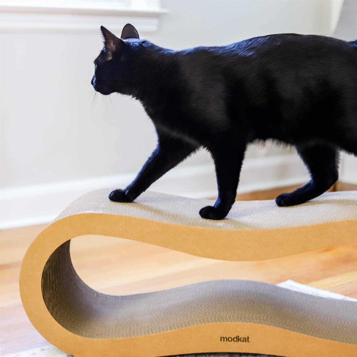 Cat Scratcher Lounge Set G440431
