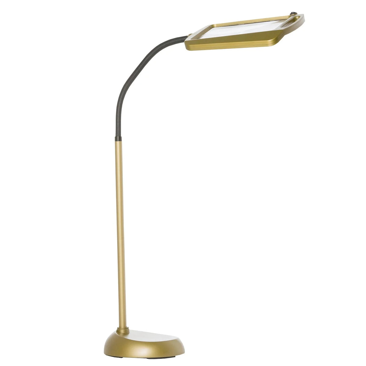Bronze LED Illuminated Floor Magnifier Lamp P448