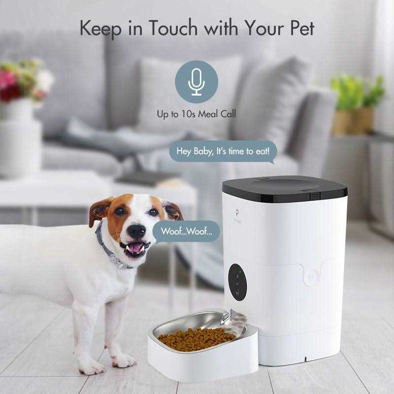 Automatic Cat Food Dispenser J67690