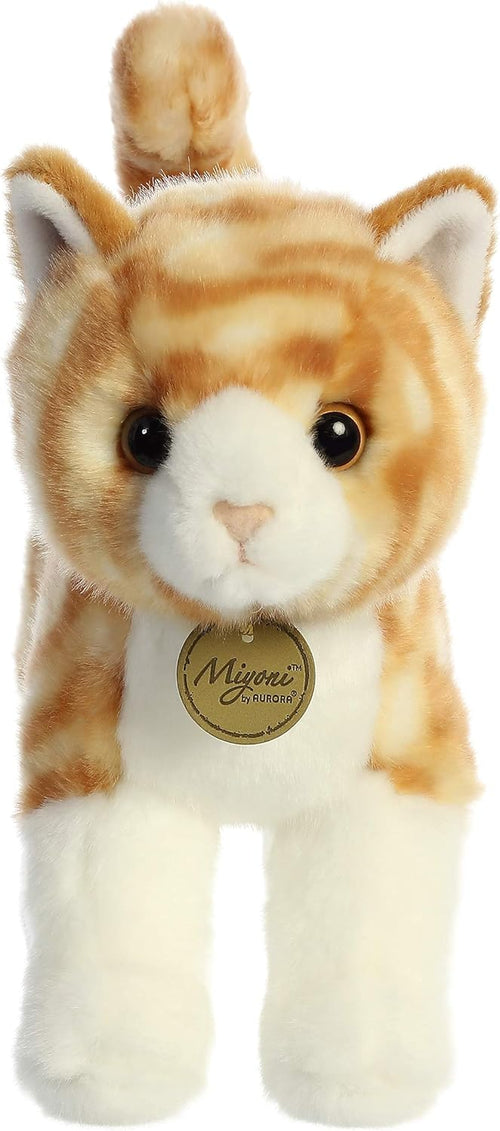 10 Orange Tabby Cat S968043