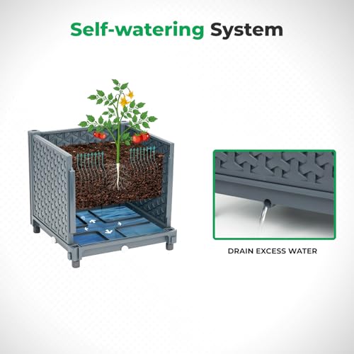 Raised Garden Bed with Tomato Planter Cage N711312
