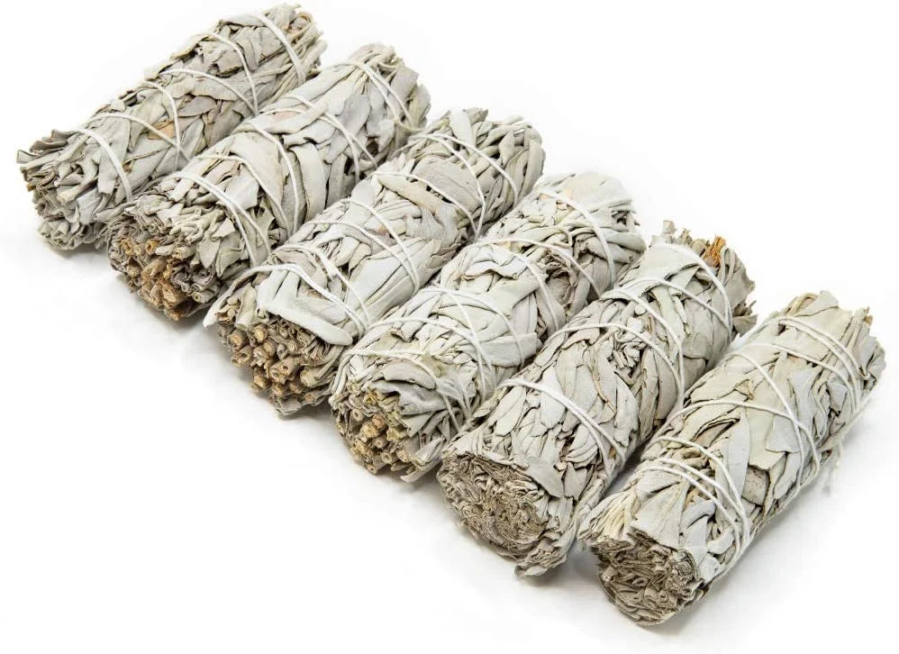 White Sage Bundles 6 Pack 4 inch O52268