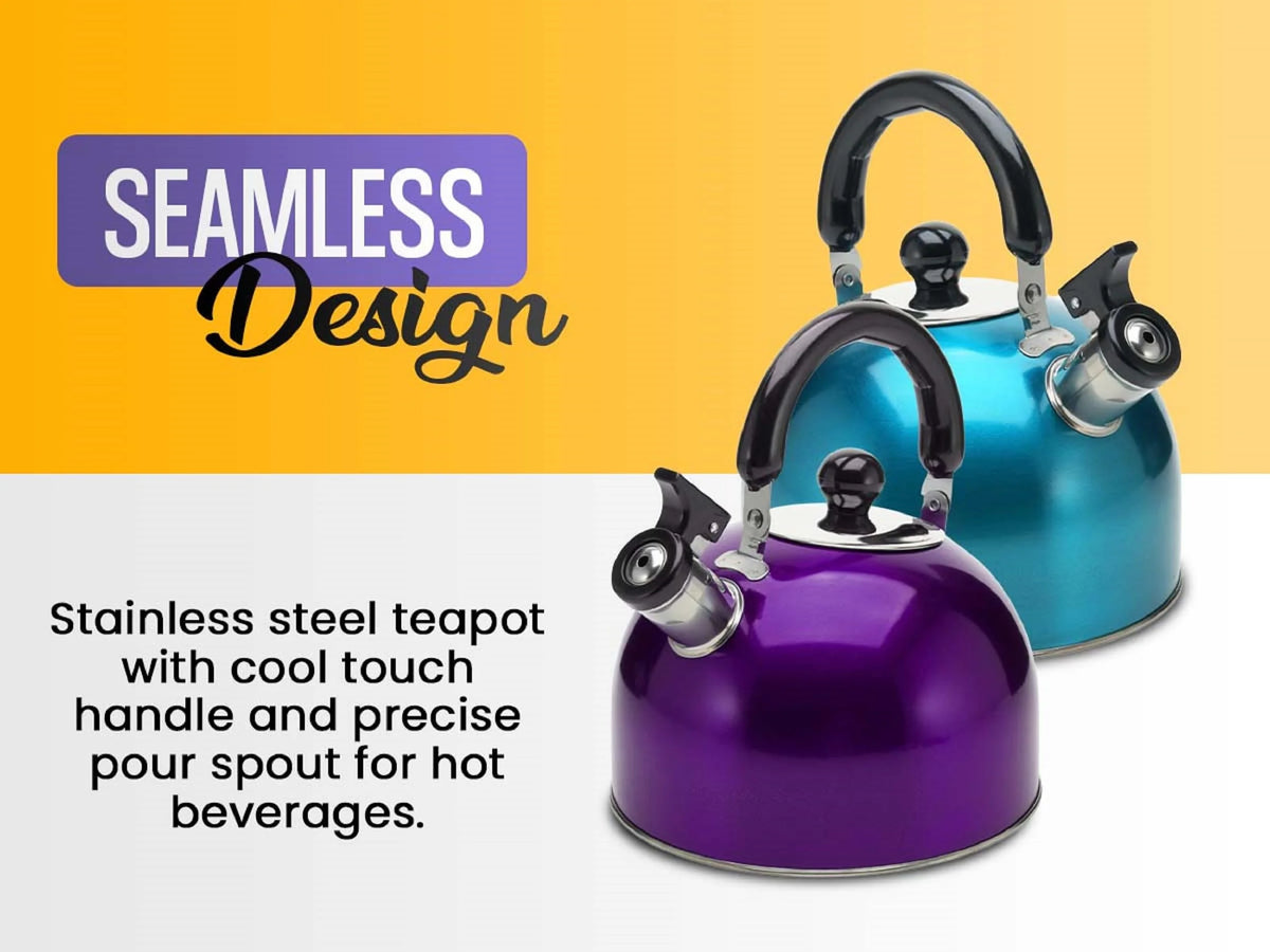 Stainless Steel Whistling Tea Kettle 3L D784