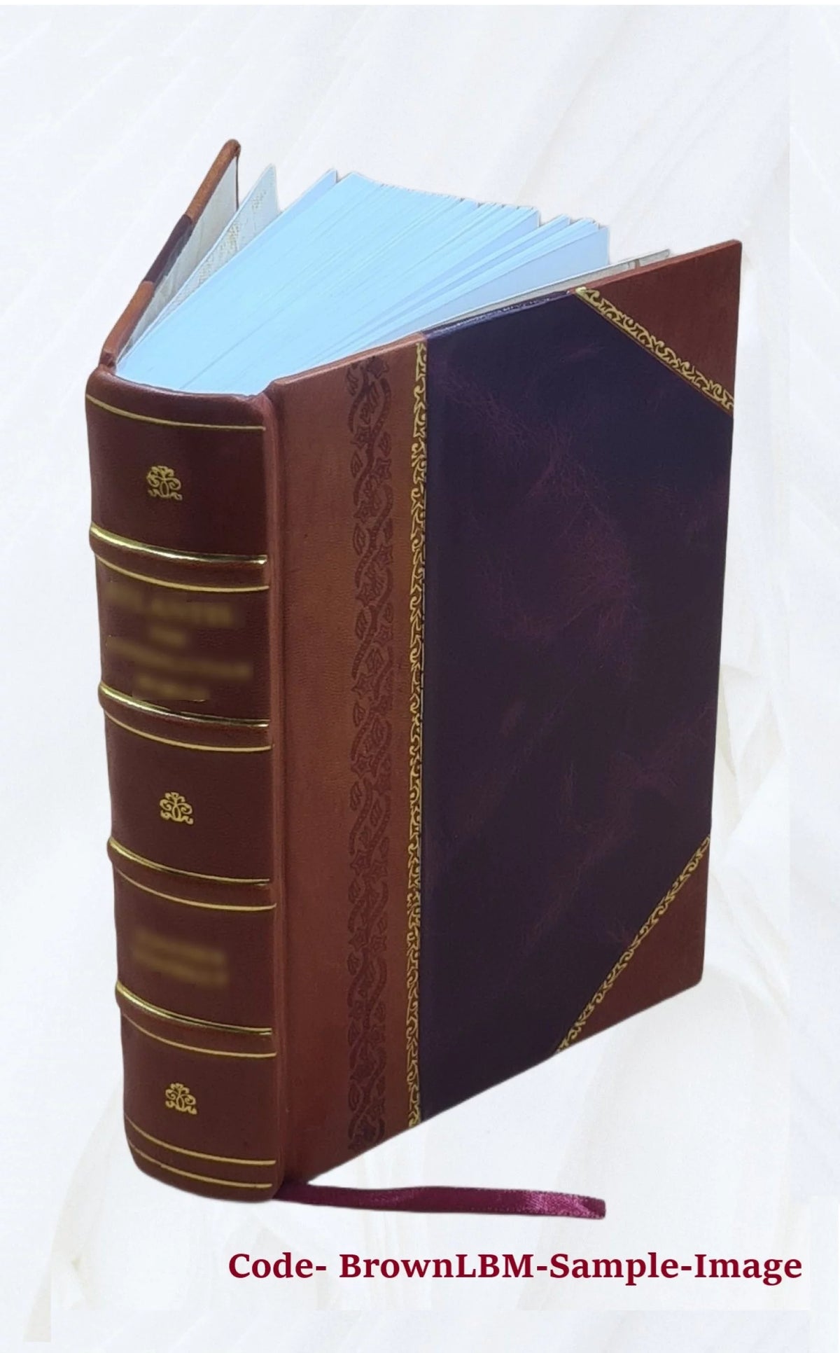 Records of the governor and company of the Massachusetts bay in New England Leather Bound A6185