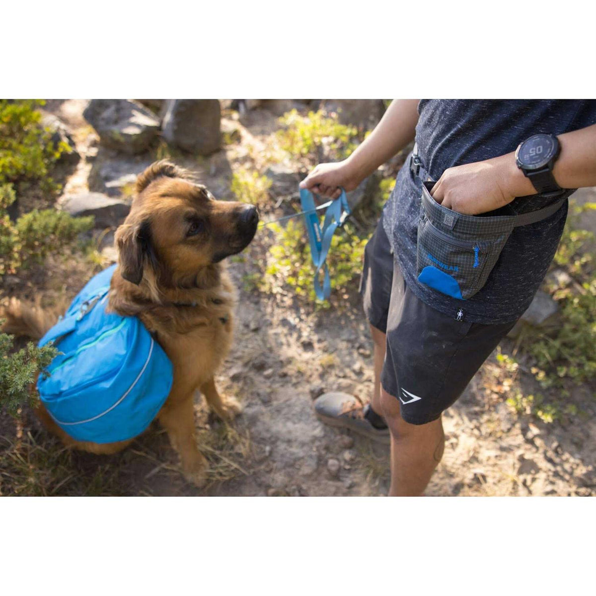 Pet Supplies U344773