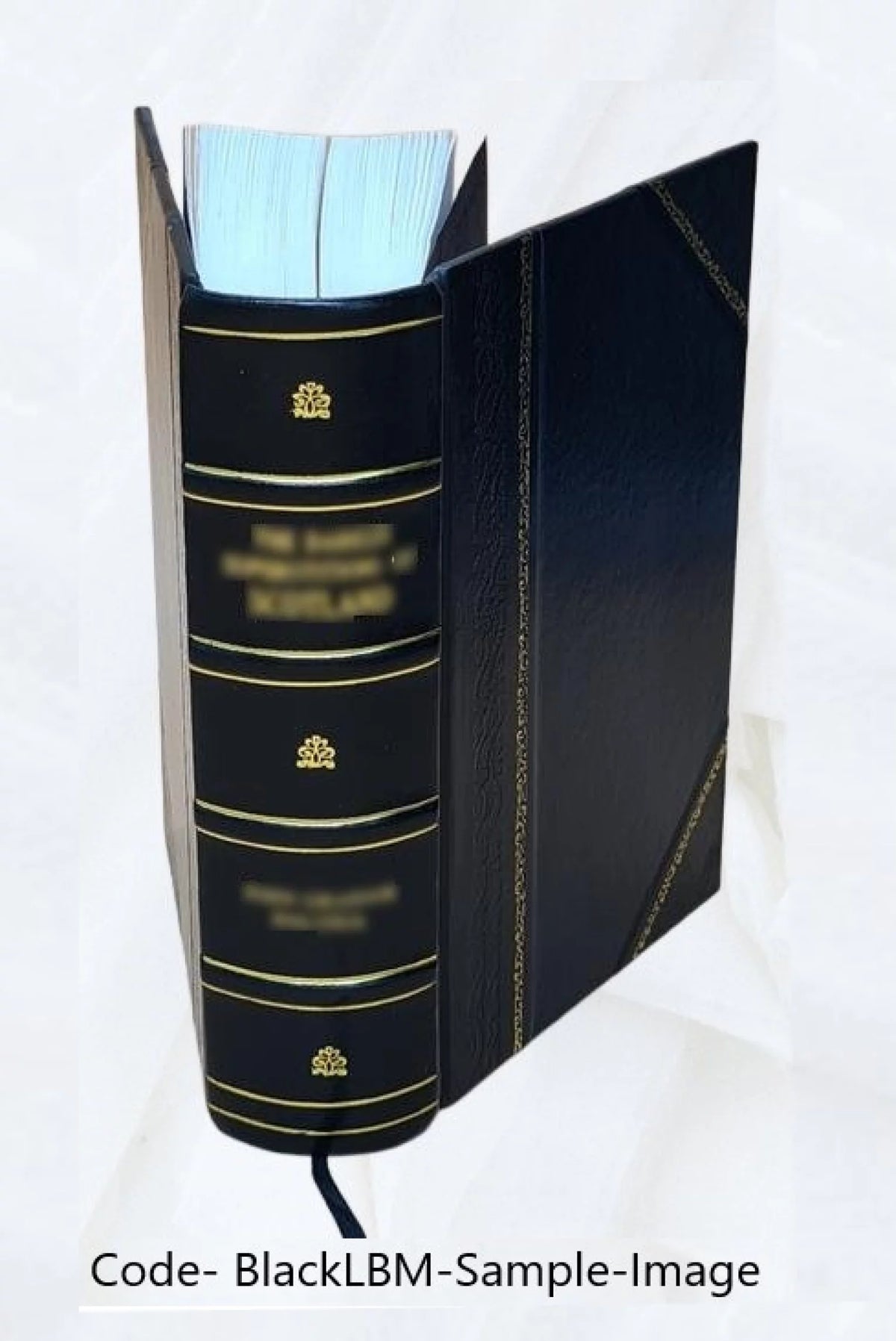 Records of the governor and company of the Massachusetts bay in New England Leather Bound A6185