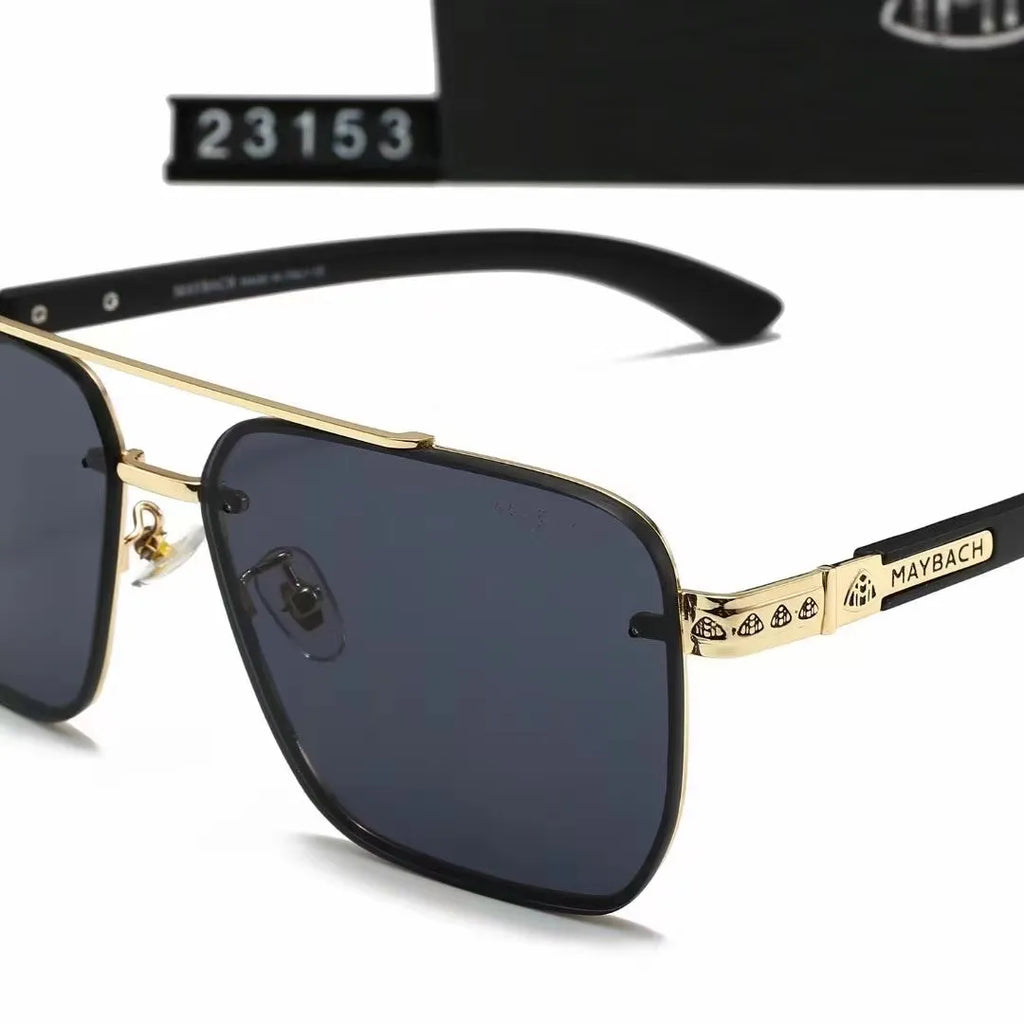 Polarized Double Bridge Sunglasses I57959
