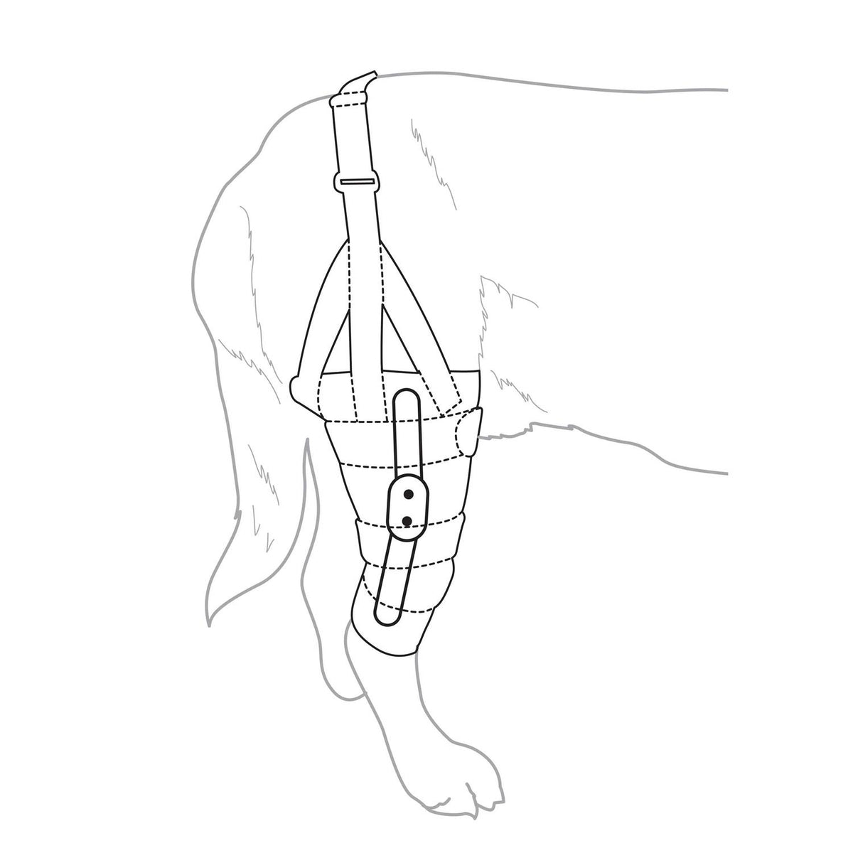 Metal Hinged Knee Brace for Dogs N545