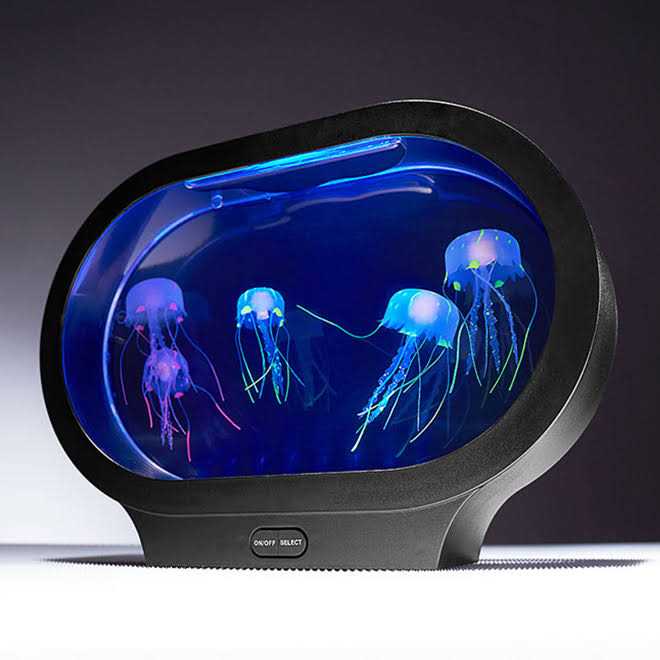 Fantasy Jellyfish Aquarium A896640