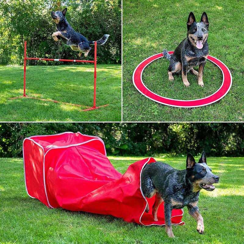6 Piece Agility Kit R94738