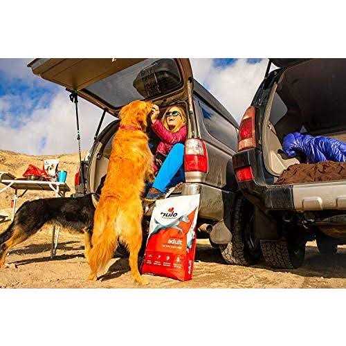 Turkey Dry Dog Food G985127