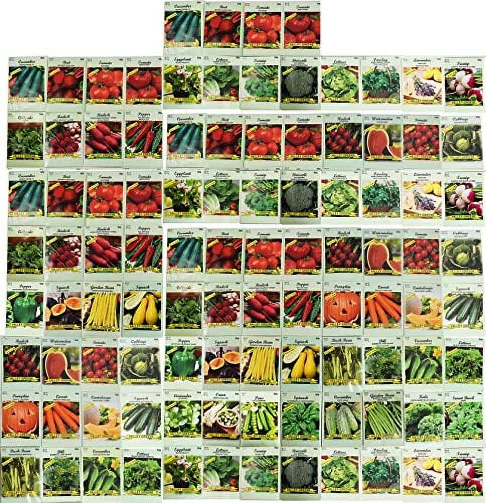 100 Assorted Heirloom Vegetable Seeds Non-GMO P720183