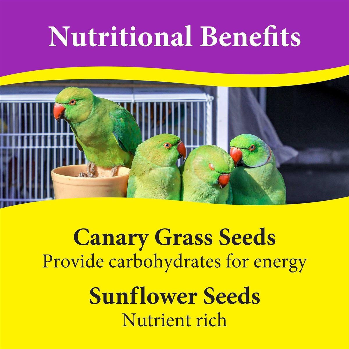 Cockatiel Mix Bird Food Seeds V9462