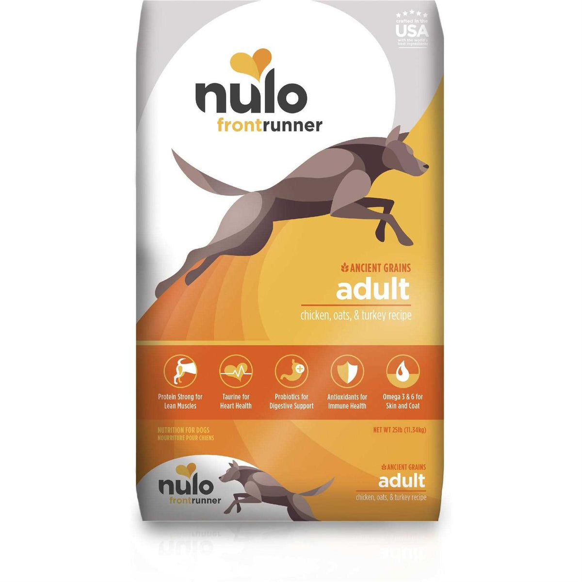 Turkey Dry Dog Food G985127