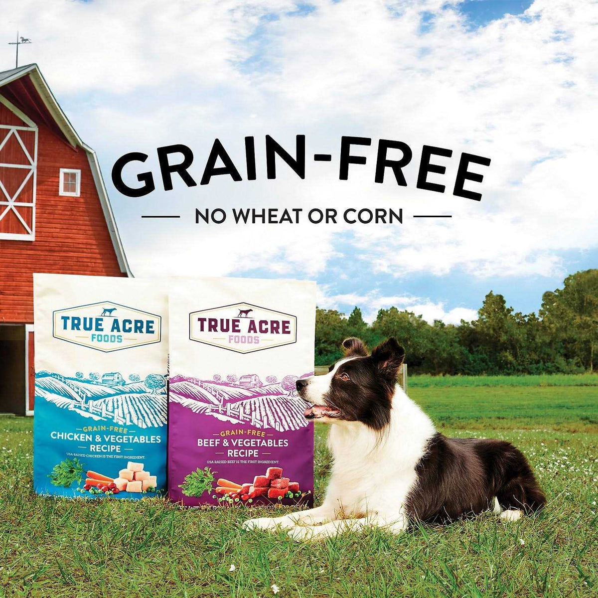 Grain-Free Beef & Vegetable Dry Dog Food M679246