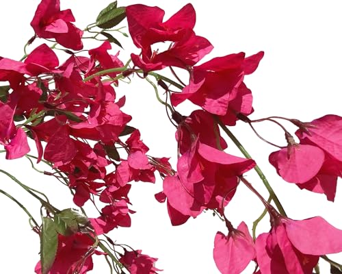 Fuchsia Artificial Silk Hanging Flowers Pack of 2 S42496