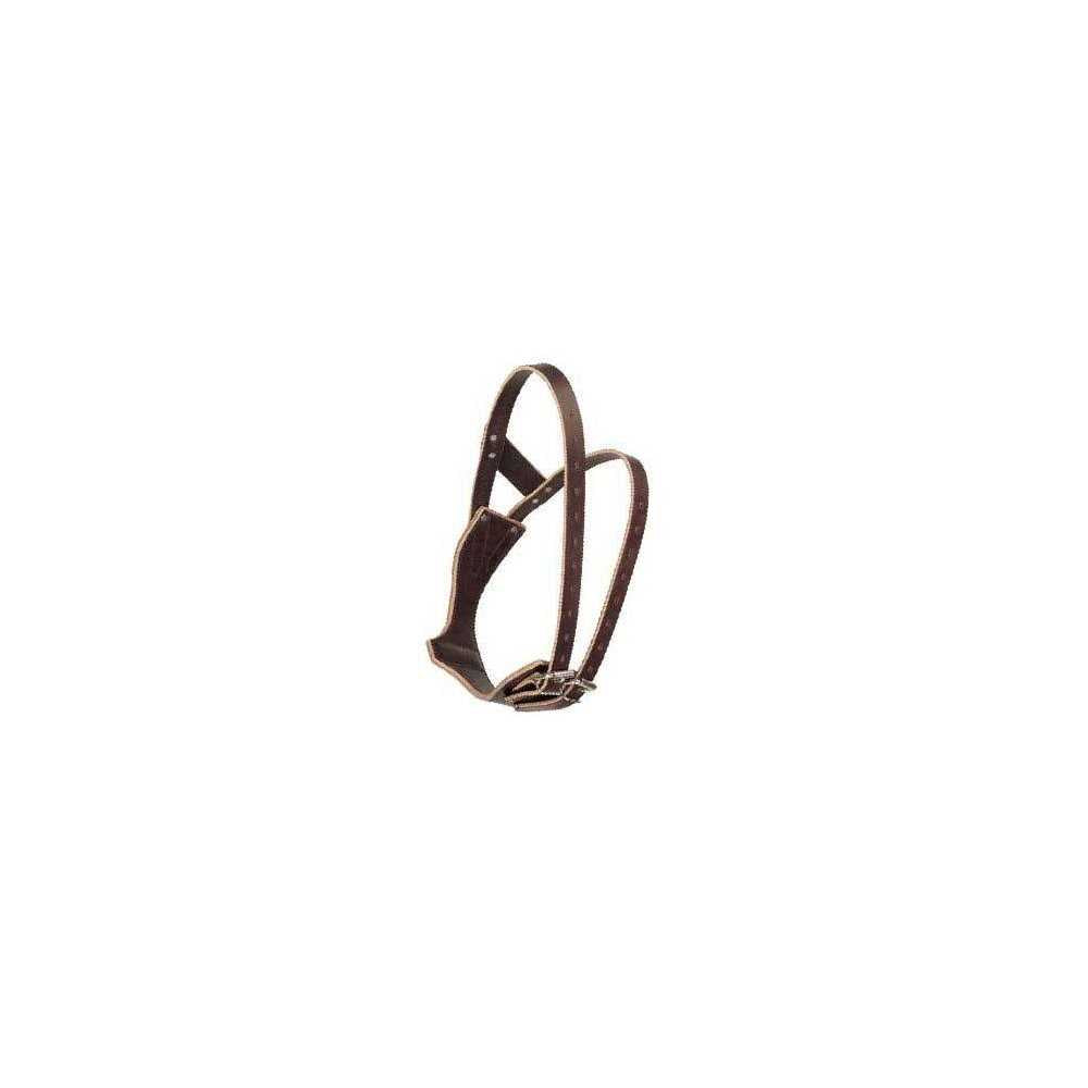 Leather Collar M592