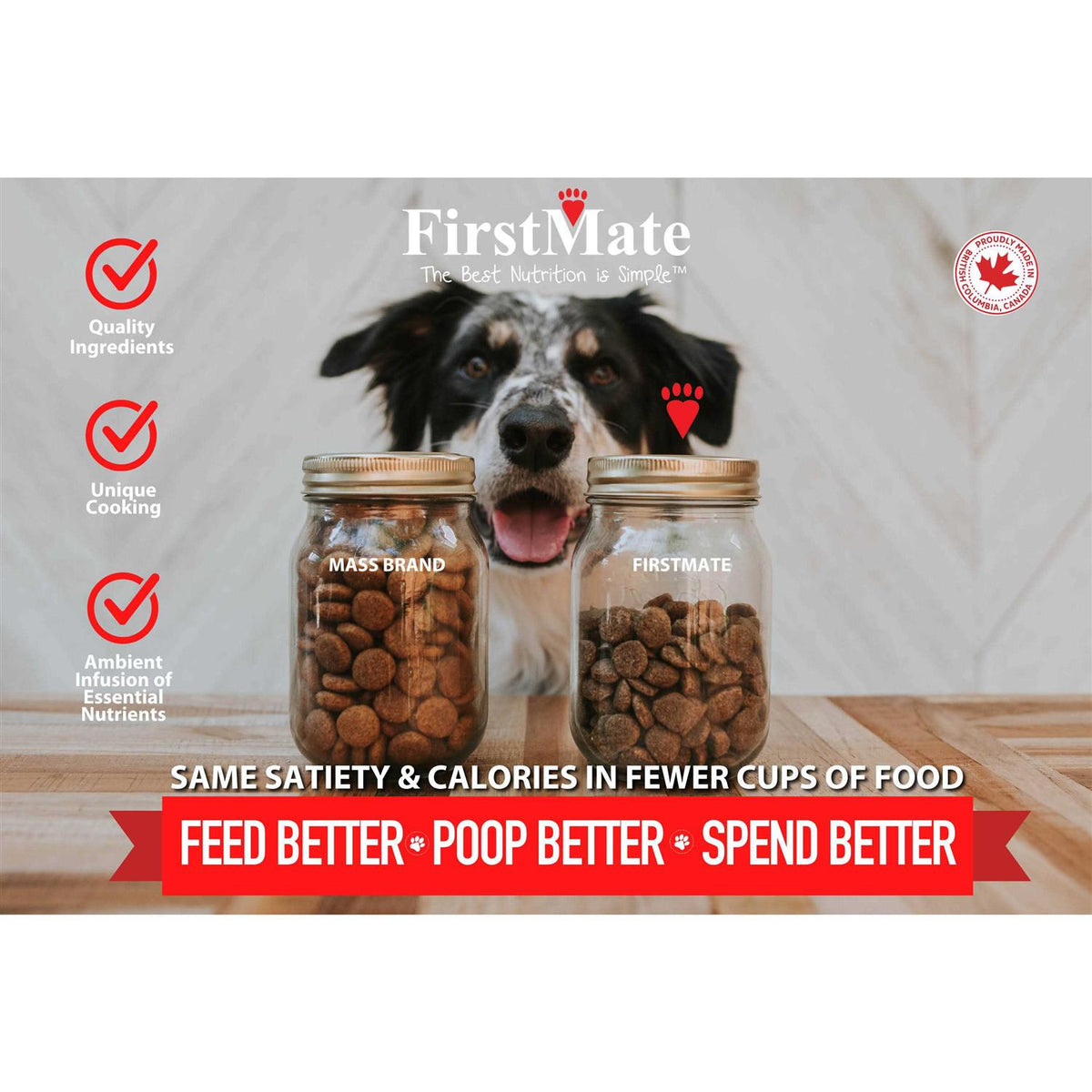 Grain Friendly Dry Dog Food E337