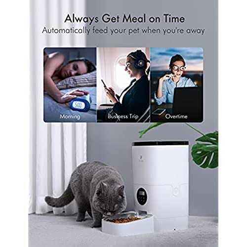 Automatic Cat Food Dispenser J67690