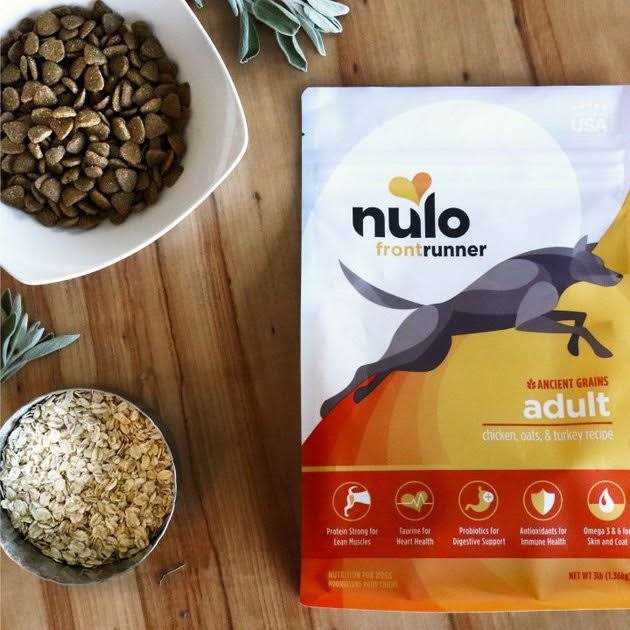 Turkey Dry Dog Food G985127