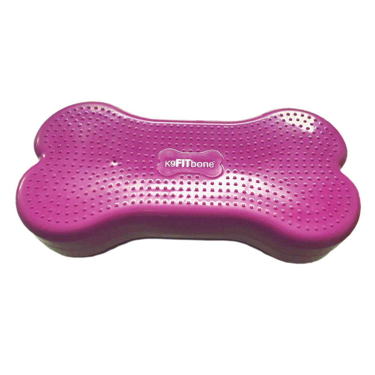 Agility Training Pet Supplies I511985