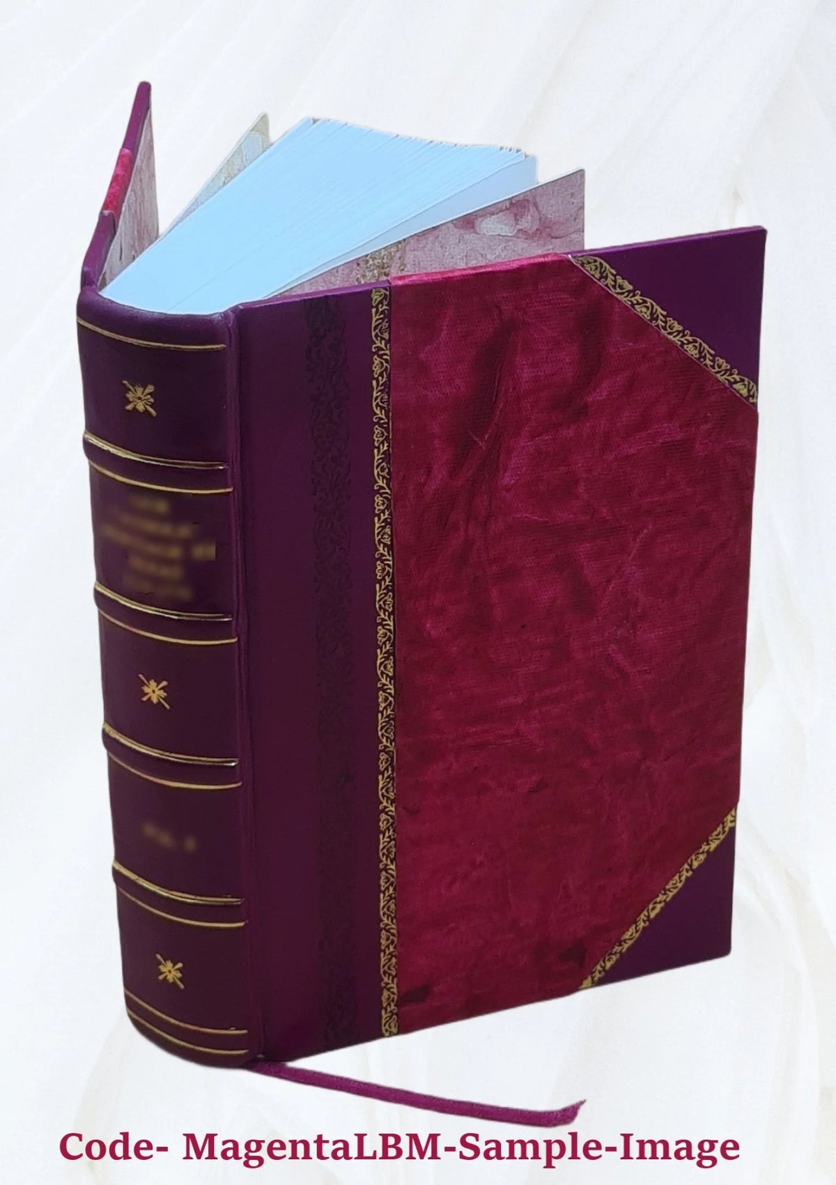 Records of the governor and company of the Massachusetts bay in New England Leather Bound A6185