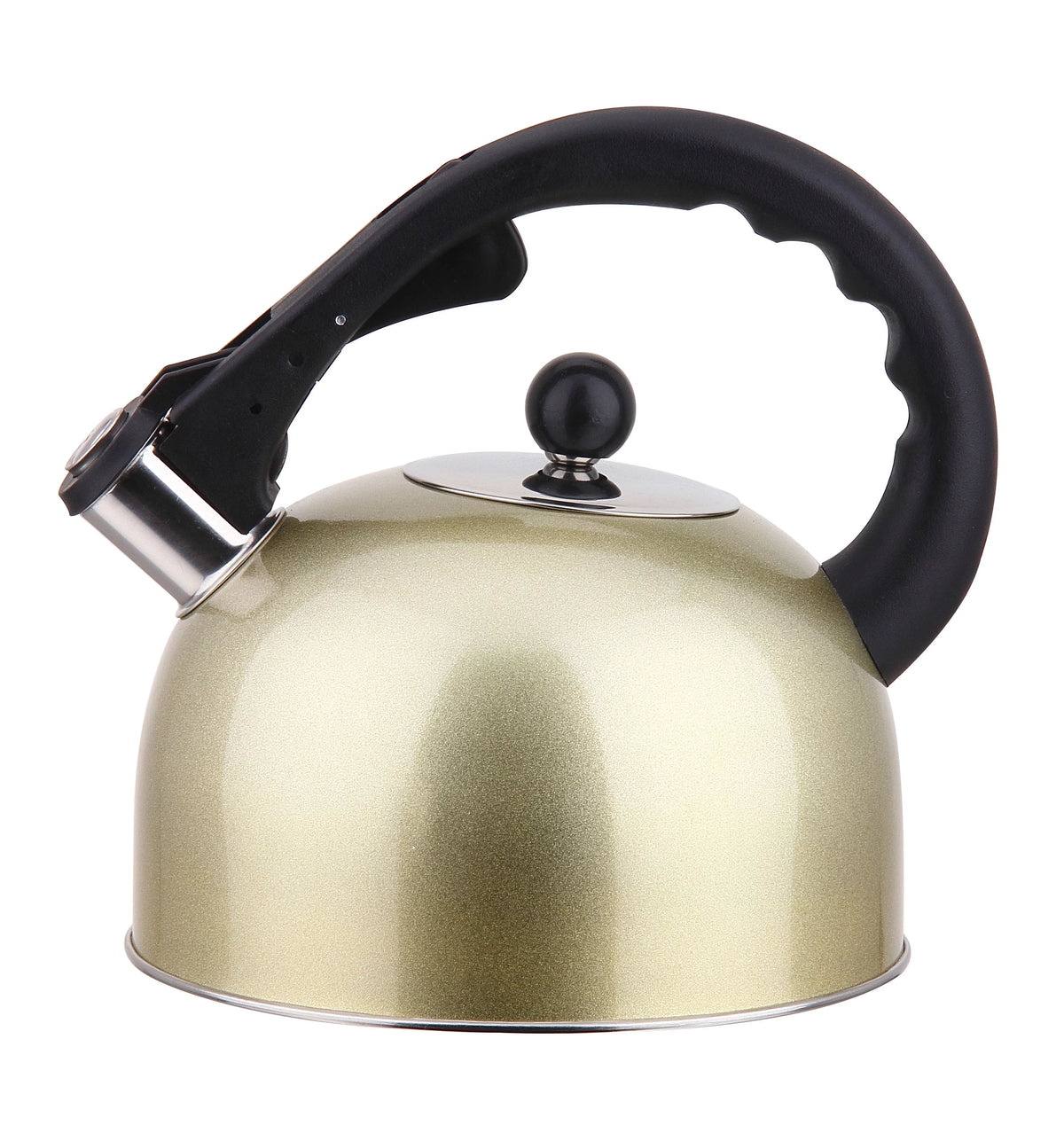 Stainless Steel Whistling Tea Kettle 3L D784