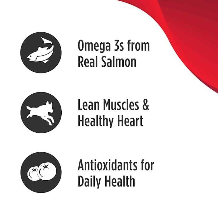 Grain Free Salmon & Sweet Potato Dry Dog Food L3975