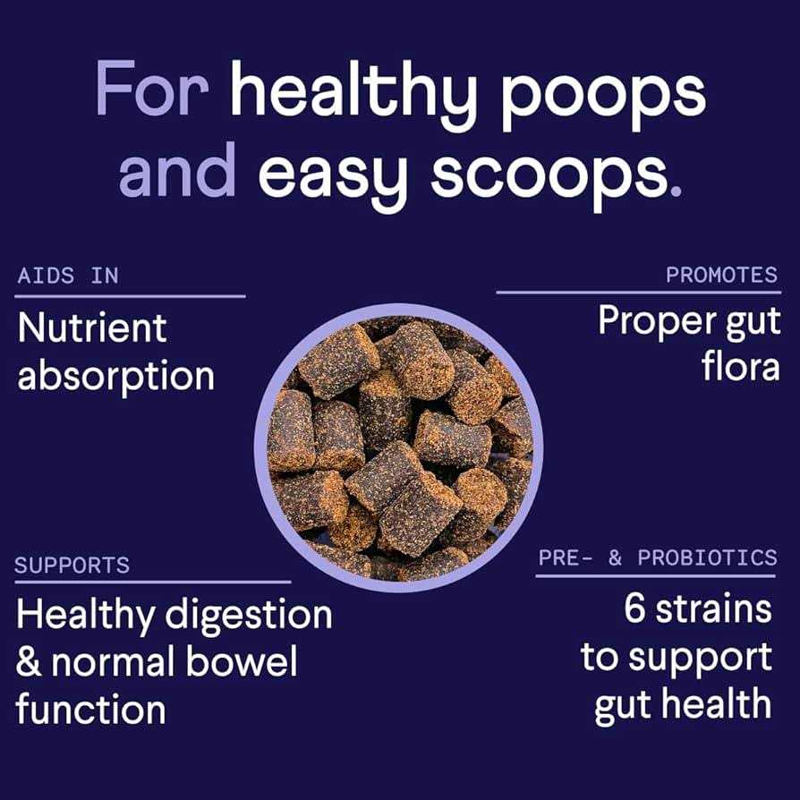 Probiotics Supplement for Dogs V353