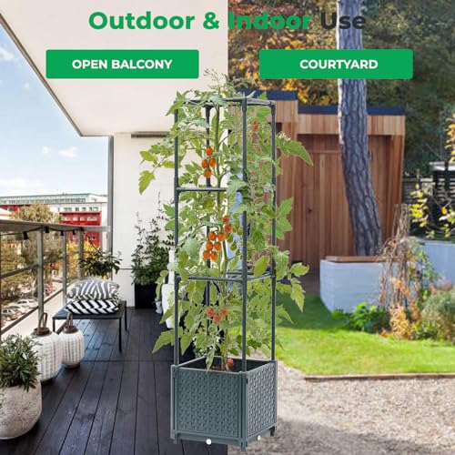 Raised Garden Bed with Tomato Planter Cage N711312