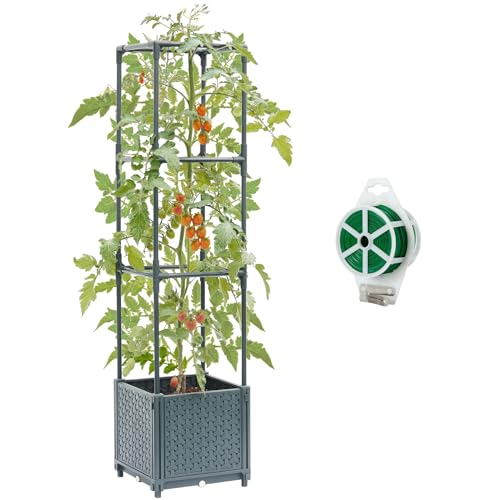 Raised Garden Bed with Tomato Planter Cage N711312