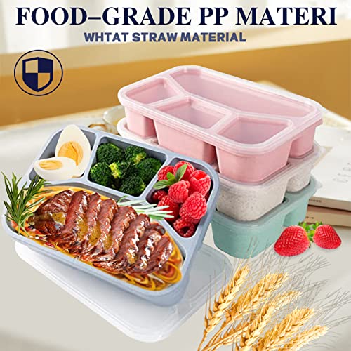 8 Pack Wheat Straw Bento Lunch Containers N589