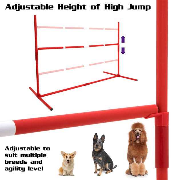 6 Piece Agility Kit R94738