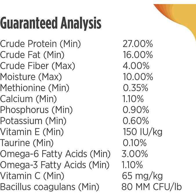 Turkey Dry Dog Food G985127