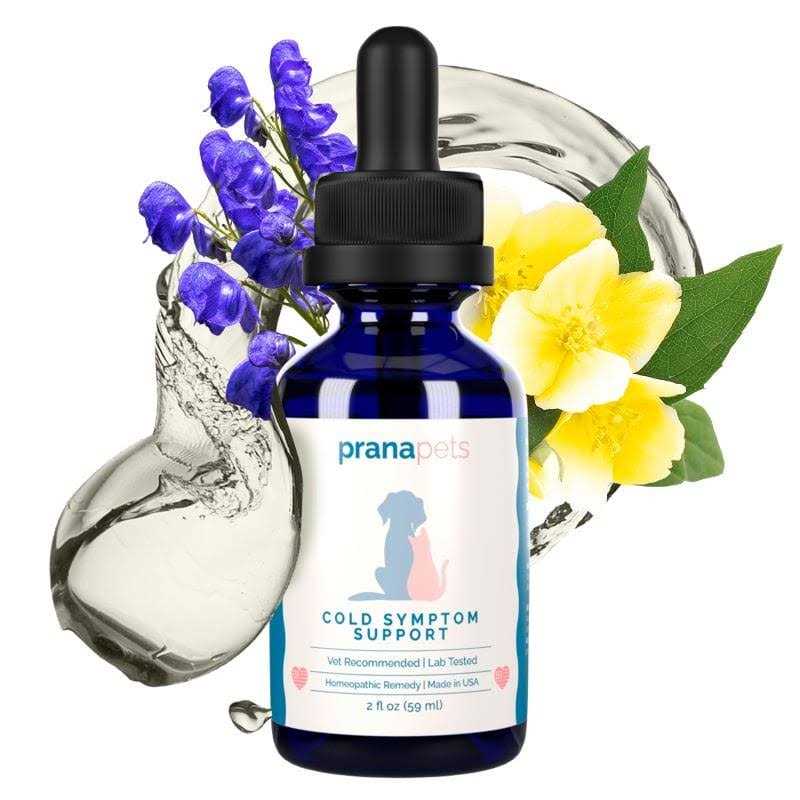 Cold Symptom Support for Cats J9030