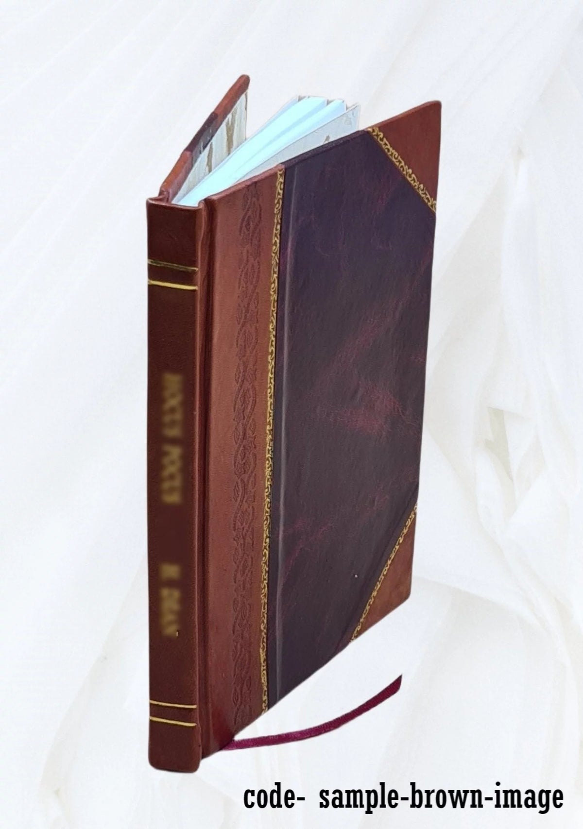 Leather Bound Volume Brief B301678