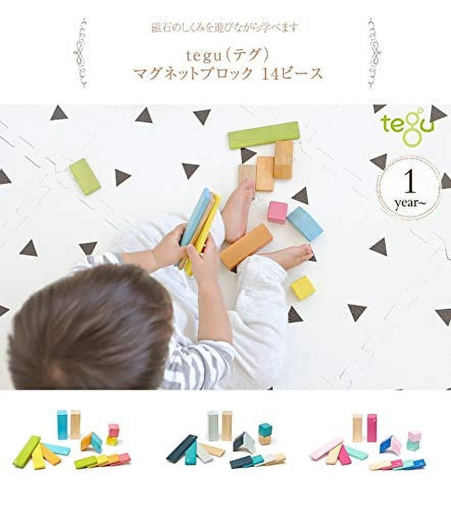 14 Piece Magnetic Wooden Block Set N21514