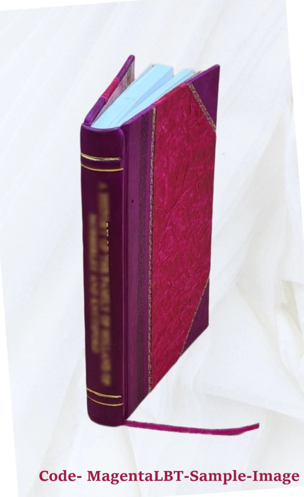 San Francisco Leather Bound V42727