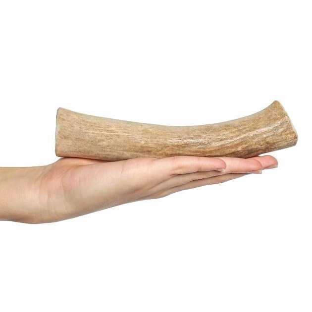 Deer Antler Dog Chew S122