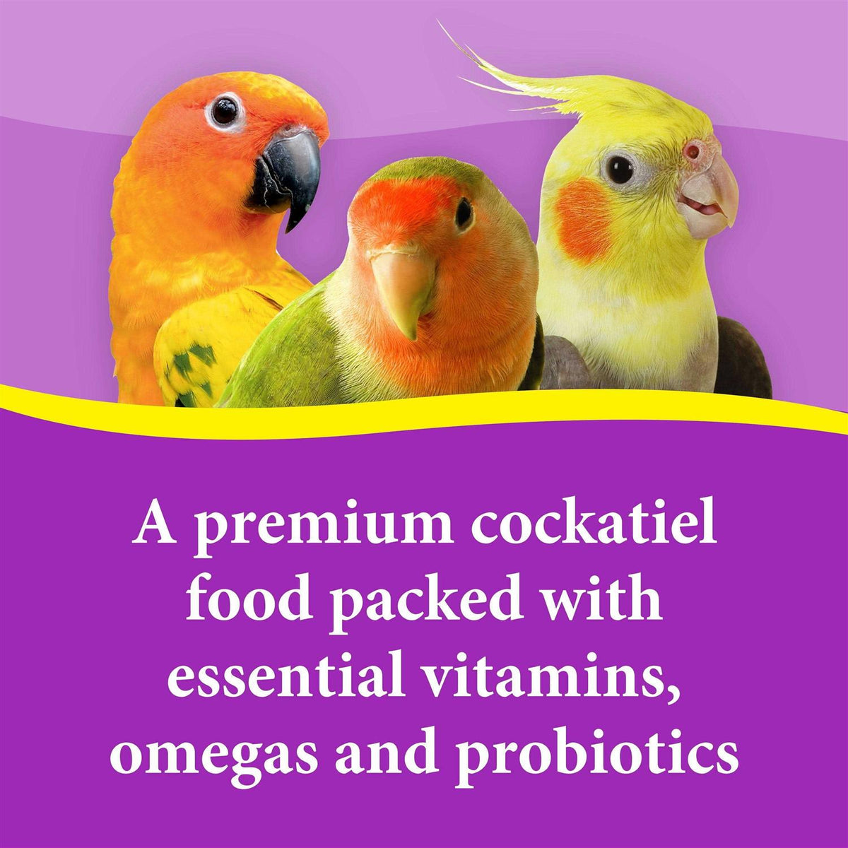 Cockatiel Mix Bird Food Seeds V9462