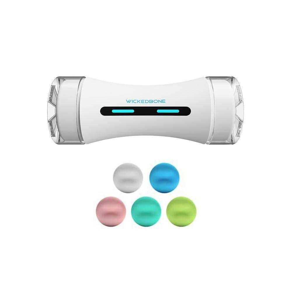 Automatic Interactive Dog Toys O6193