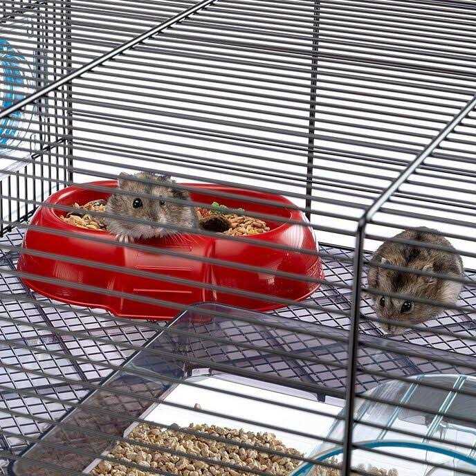Large Hamster Cage with Water Bottle F34750