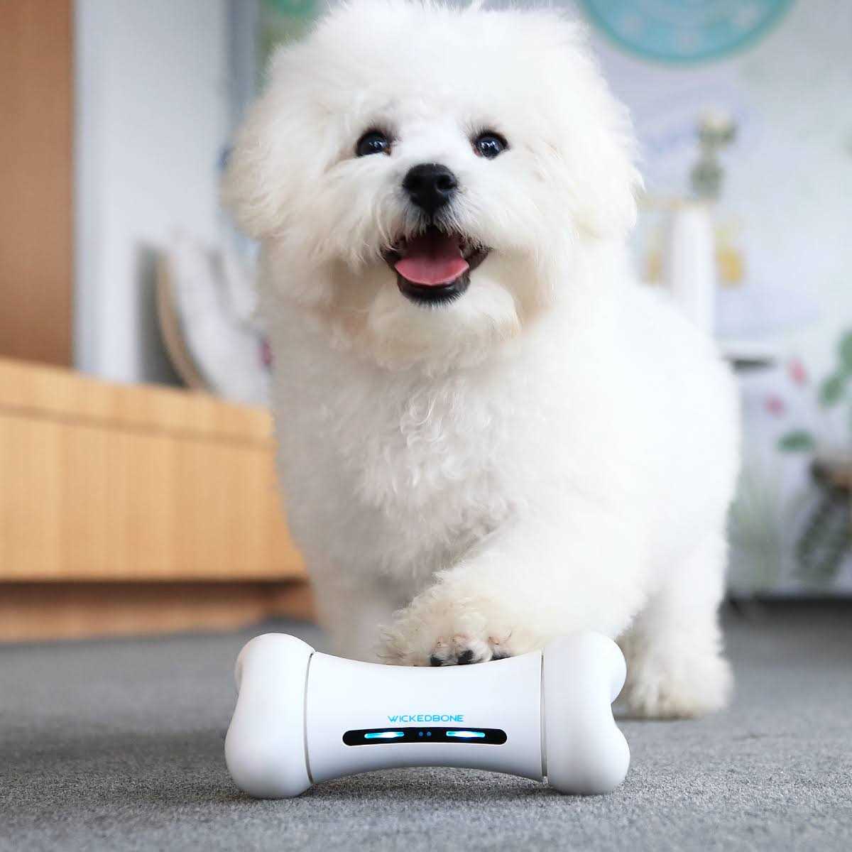 Automatic Interactive Dog Toys O6193